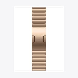 42mm Gold Link Bracelet