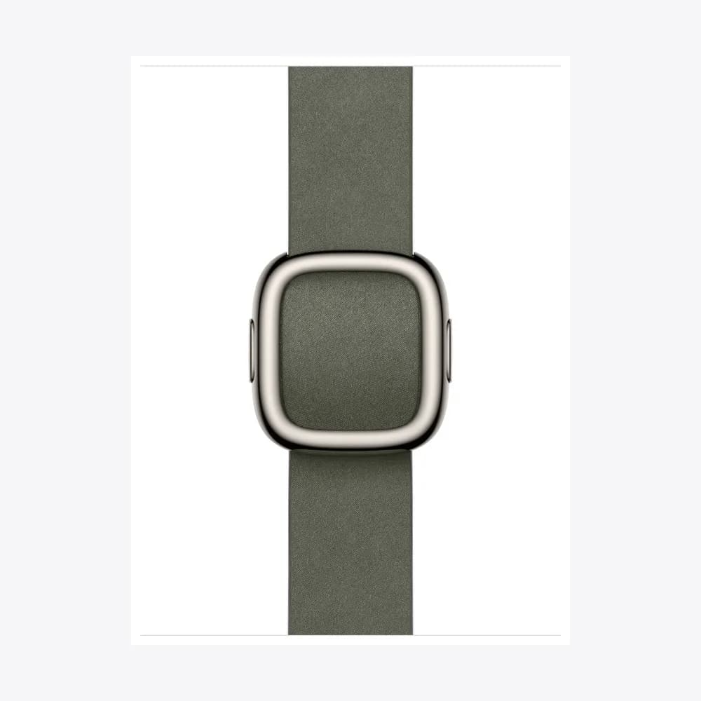 42mm Sage Gray Modern Buckle - Medium