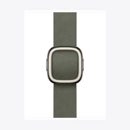 42mm Sage Gray Modern Buckle - Small